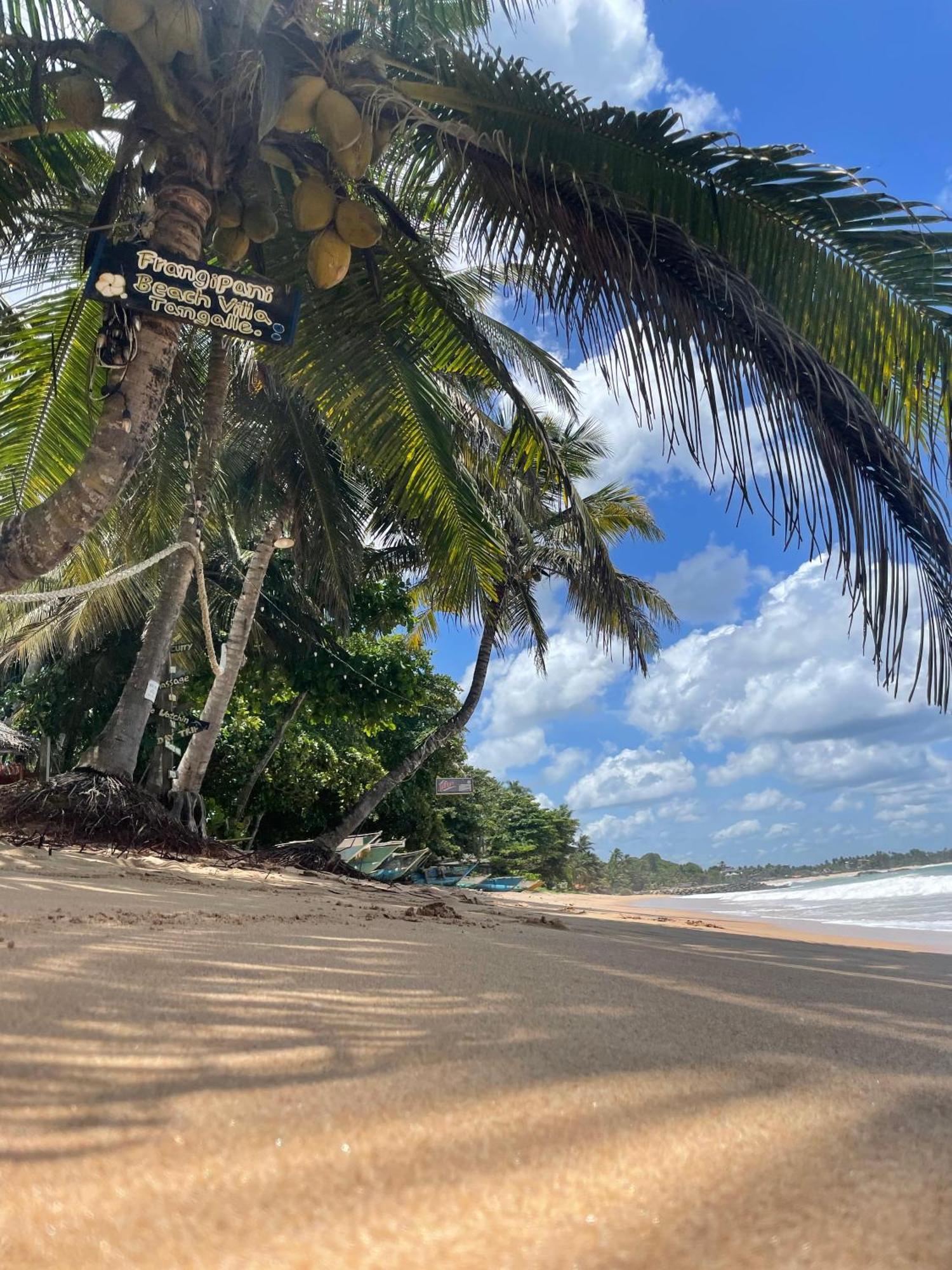 Frangipani Beach Villa Tangalle Exterior photo